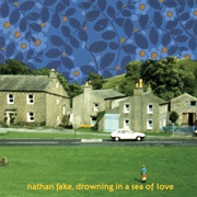 Nathan Fake - Drowning in a Sea of Love