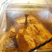 The Sword in the Stone, Italy