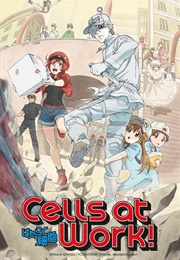 Cells at Work (Season 1) (2018)
