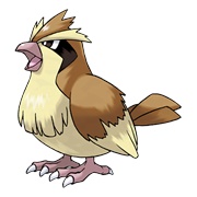 Pidgey