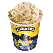 Ben & Jerry's Sunny Honey Home Ice Cream