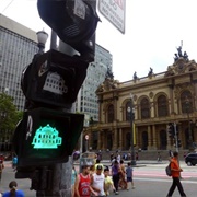 São Paulo Pedestrian Signal Lights