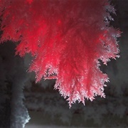 Red Ice