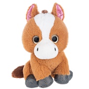 Rocky Mountain Horse