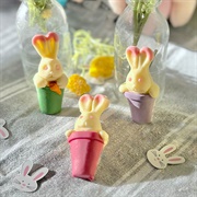 Chocolate Bunny