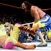 Jake the Snake Roberts