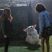 Doctor Who 60th Anniversary Special: "The Star Beast" (E1)