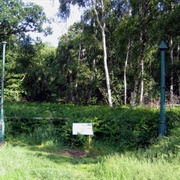 Holme Fen Posts