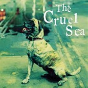 Three Legged Dog - Cruel Sea