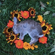 Monolord - Your Time to Shine