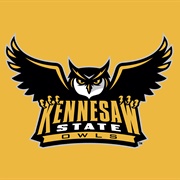 Kennesaw State Owls
