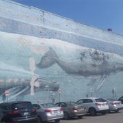 Isle of Shoals Humpbacks (Permanently Closed)