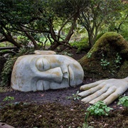 The Moss Lady, Canada