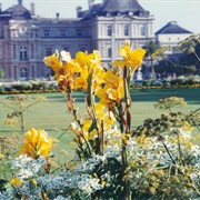 Luxembourg Palace and Gardens, Paris