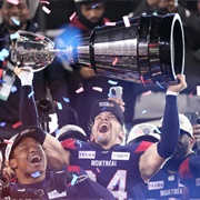 Attend the Grey Cup