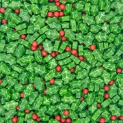 Holly Sprinkles (Holly Tartz)