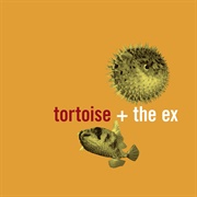 Tortoise & the Ex - In the Fishtank 5