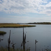 Marine Park Salt Marsh