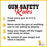 Safely Use a Gun