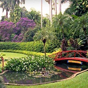 Sunken Gardens, St. Petersburg, FL