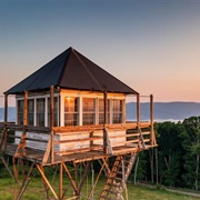 Thorny Mountain Fire Tower