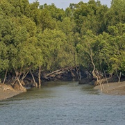 Sundarbans