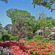 Mynelle Gardens Arboretum, Jackson