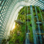 Go to a Cool Biodome