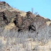 Paul Bunyan's Woodpile