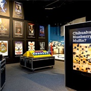 Museum of Health and Medical Science