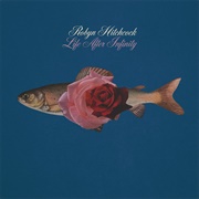 Robyn Hitchcock - Life After Infinity