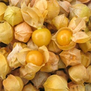 Ground Cherries
