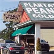 First Peanut Museum in the U.S.