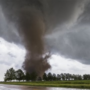 Lilapsophobia - The Fear of Tornadoes and Hurricanes