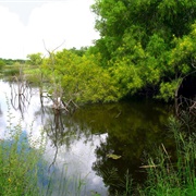 Resaca De La Palma State Park