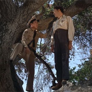 A Warning From Warren