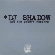 In/Flux - DJ Shadow