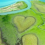 Heart of Voh, New Caledonia