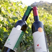 Montenegrin Wine