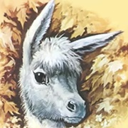 Platero (Platero Y Yo)