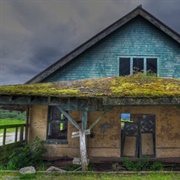 Northern State Hospital Farm