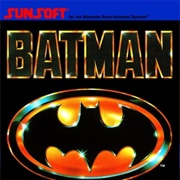 Batman: The Video Game