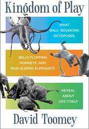 Kingdom of Play (David Toomey)