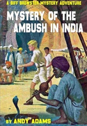 Mystery of the Ambush in India (Andy Adams)