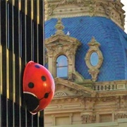 Ladybug Building