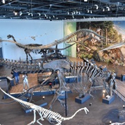 Nagasaki Dinosaur Museum