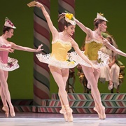 Marzipan Soloist (The Nutcracker)