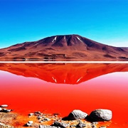 Red Lagoon, Bolivia