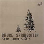 Adam Raised a Cain - Bruce Springsteen
