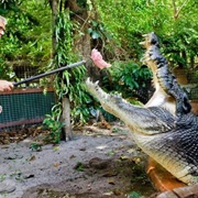 Marineland Melanesia